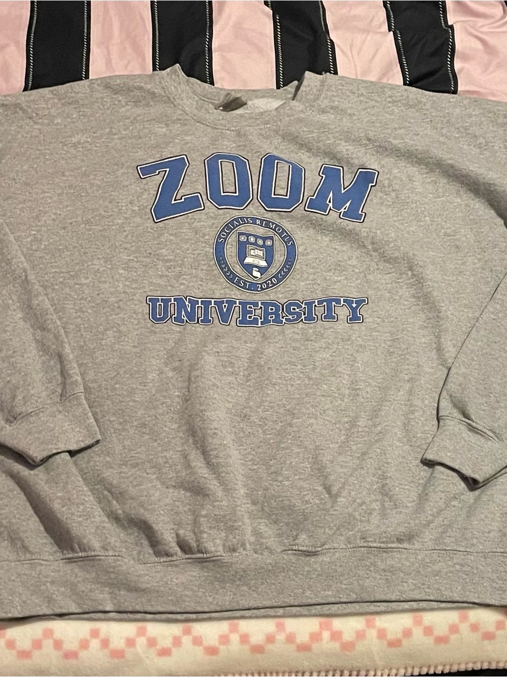 Gildan Gray Crewneck Sweatshirt with Blue 'ZOOM UNIVERSITY' Print